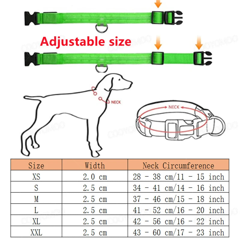 PawFlow LED Dog Collar — USB Rechargeable Waterproof Glow Safety Collar for Night Walks, 3 Light Modes