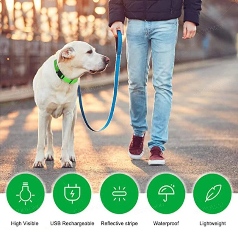 PawFlow LED Dog Collar — USB Rechargeable Waterproof Glow Safety Collar for Night Walks, 3 Light Modes