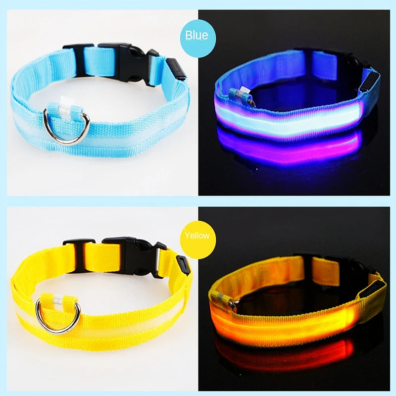 PawFlow LED Dog Collar — USB Rechargeable Waterproof Glow Safety Collar for Night Walks, 3 Light Modes
