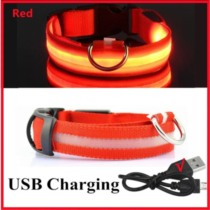 PawFlow LED Dog Collar — USB Rechargeable Waterproof Glow Safety Collar for Night Walks, 3 Light Modes