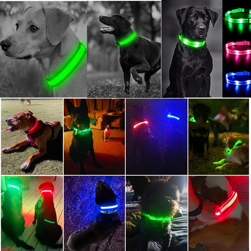 PawFlow LED Dog Collar — USB Rechargeable Waterproof Glow Safety Collar for Night Walks, 3 Light Modes