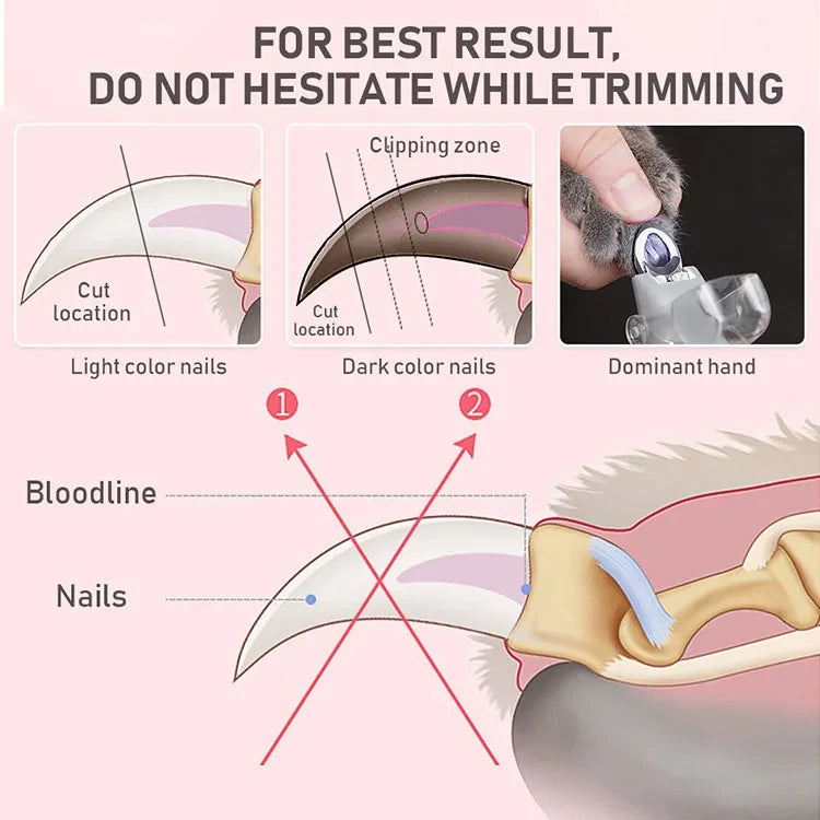 PawFlow Professional Pet Nail Clipper — LED Light & 5x Magnification for Safe Blood Line Detection