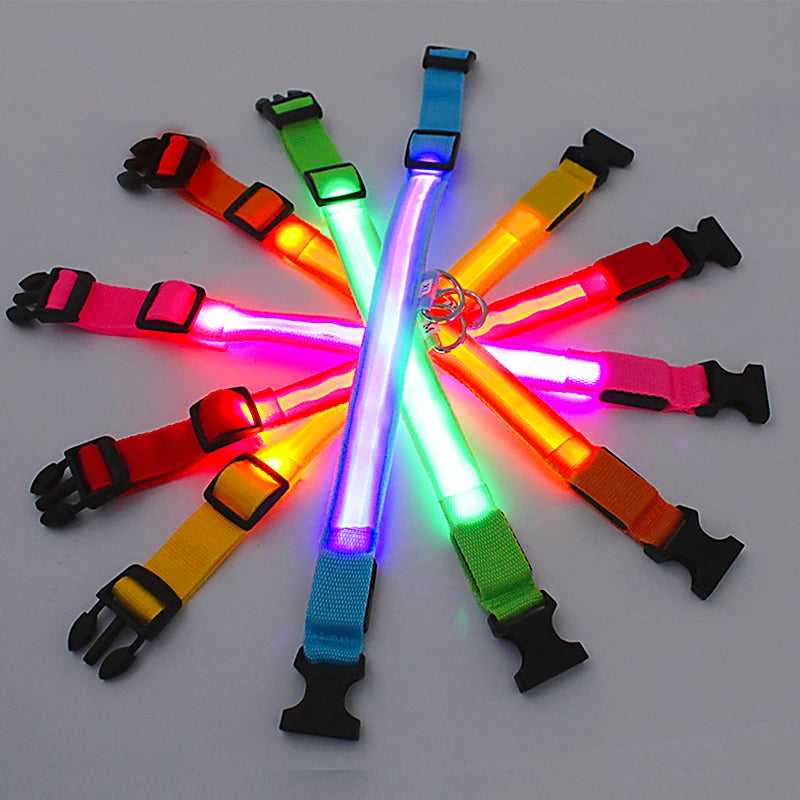 PawFlow LED Dog Collar — USB Rechargeable Waterproof Glow Safety Collar for Night Walks, 3 Light Modes
