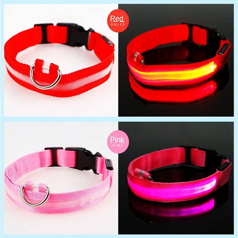 PawFlow LED Dog Collar — USB Rechargeable Waterproof Glow Safety Collar for Night Walks, 3 Light Modes