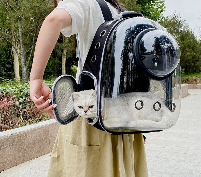 PawFlow Transparent Bubble Cat Carrier Backpack — Breathable Space Capsule Travel Bag for Cats & Small Dogs