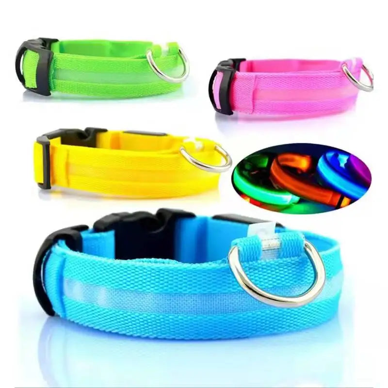 PawFlow LED Dog Collar — USB Rechargeable Waterproof Glow Safety Collar for Night Walks, 3 Light Modes