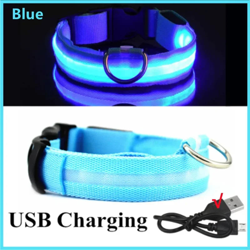 PawFlow LED Dog Collar — USB Rechargeable Waterproof Glow Safety Collar for Night Walks, 3 Light Modes