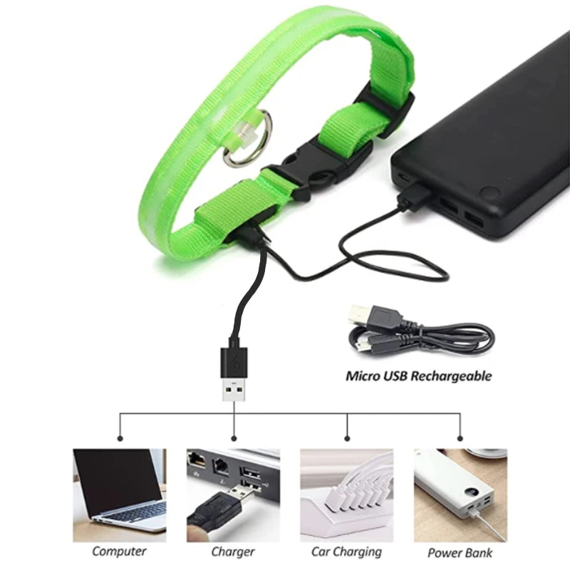 PawFlow LED Dog Collar — USB Rechargeable Waterproof Glow Safety Collar for Night Walks, 3 Light Modes