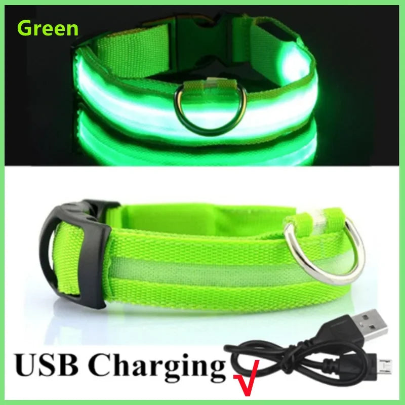 PawFlow LED Dog Collar — USB Rechargeable Waterproof Glow Safety Collar for Night Walks, 3 Light Modes