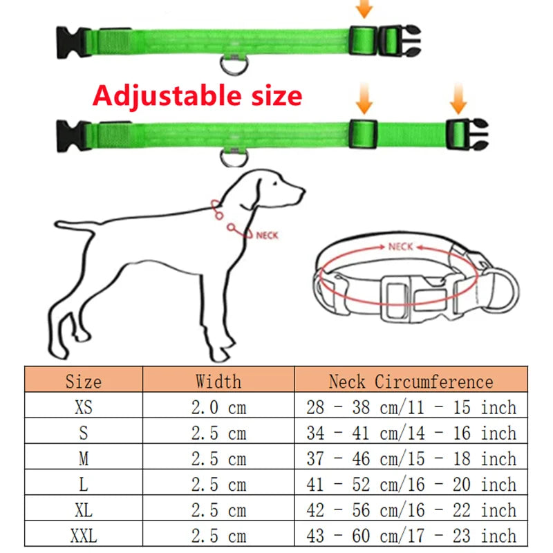 PawFlow LED Dog Collar — USB Rechargeable Waterproof Glow Safety Collar for Night Walks, 3 Light Modes