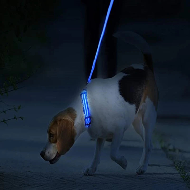 PawFlow LED Dog Collar — USB Rechargeable Waterproof Glow Safety Collar for Night Walks, 3 Light Modes