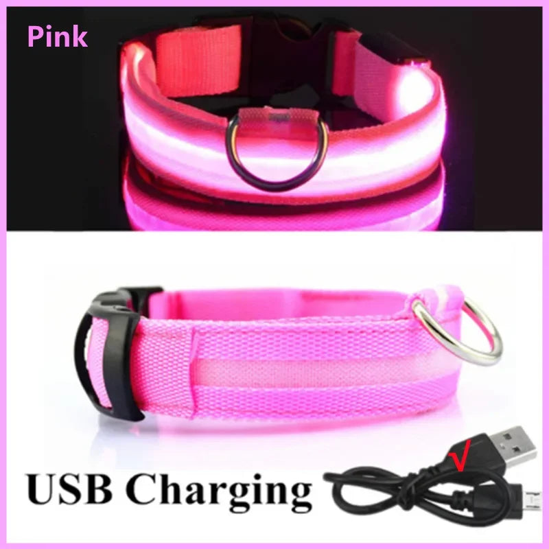 PawFlow LED Dog Collar — USB Rechargeable Waterproof Glow Safety Collar for Night Walks, 3 Light Modes
