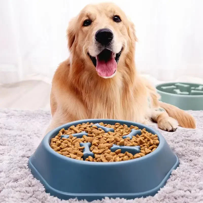 PawFlow Slow Feeder Dog Bowl — Anti-Choking Maze Bowl for Small & Medium Dogs