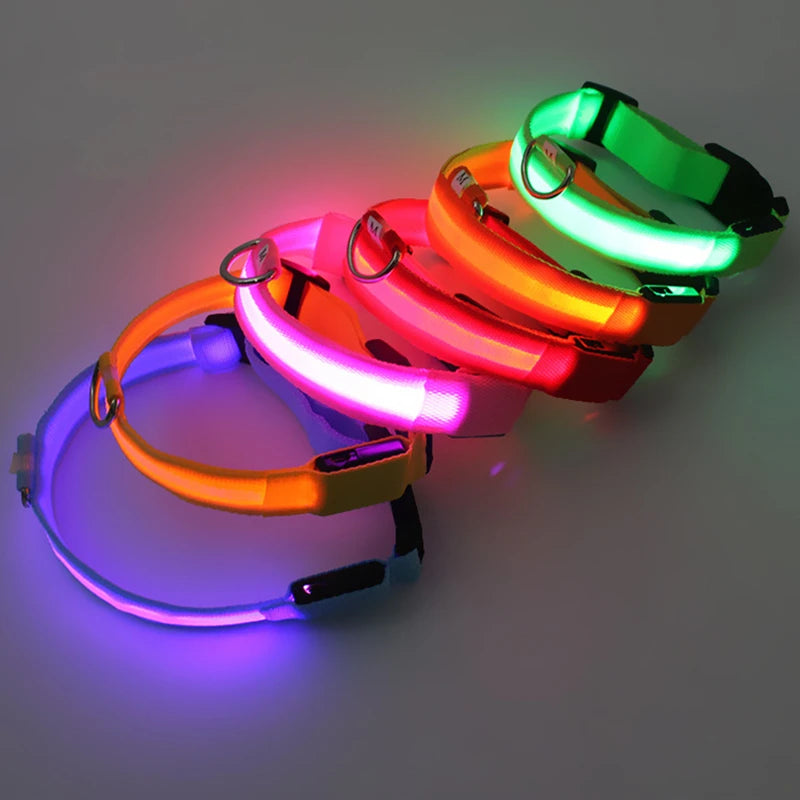 PawFlow LED Dog Collar — USB Rechargeable Waterproof Glow Safety Collar for Night Walks, 3 Light Modes