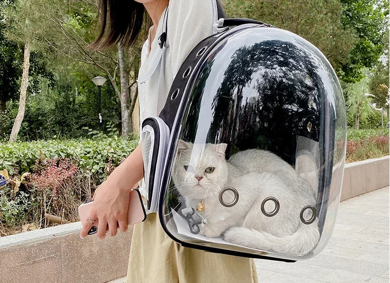 PawFlow Transparent Bubble Cat Carrier Backpack — Breathable Space Capsule Travel Bag for Cats & Small Dogs