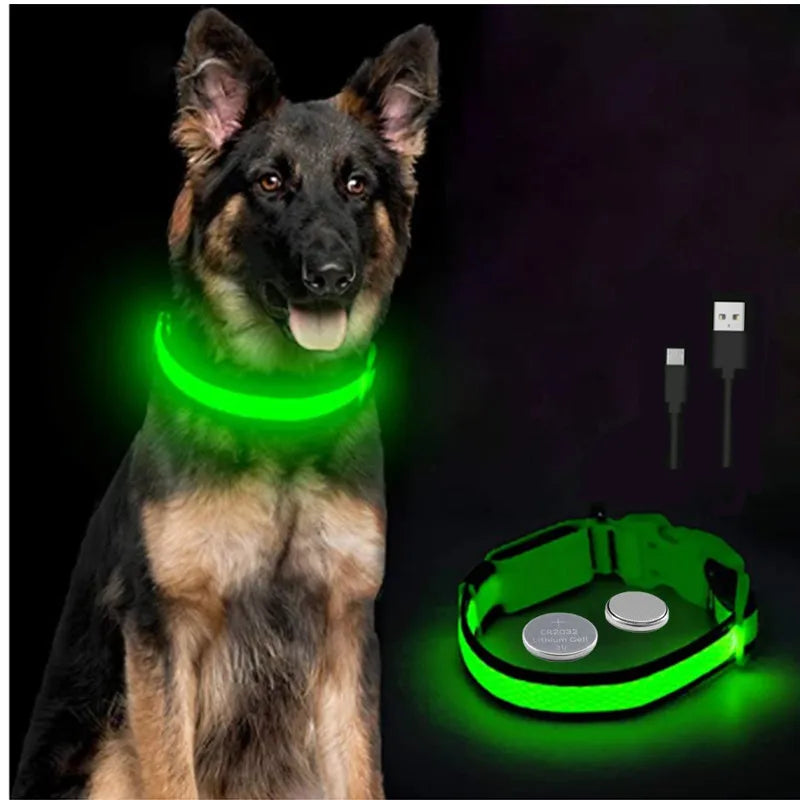 PawFlow LED Dog Collar — USB Rechargeable Waterproof Glow Safety Collar for Night Walks, 3 Light Modes