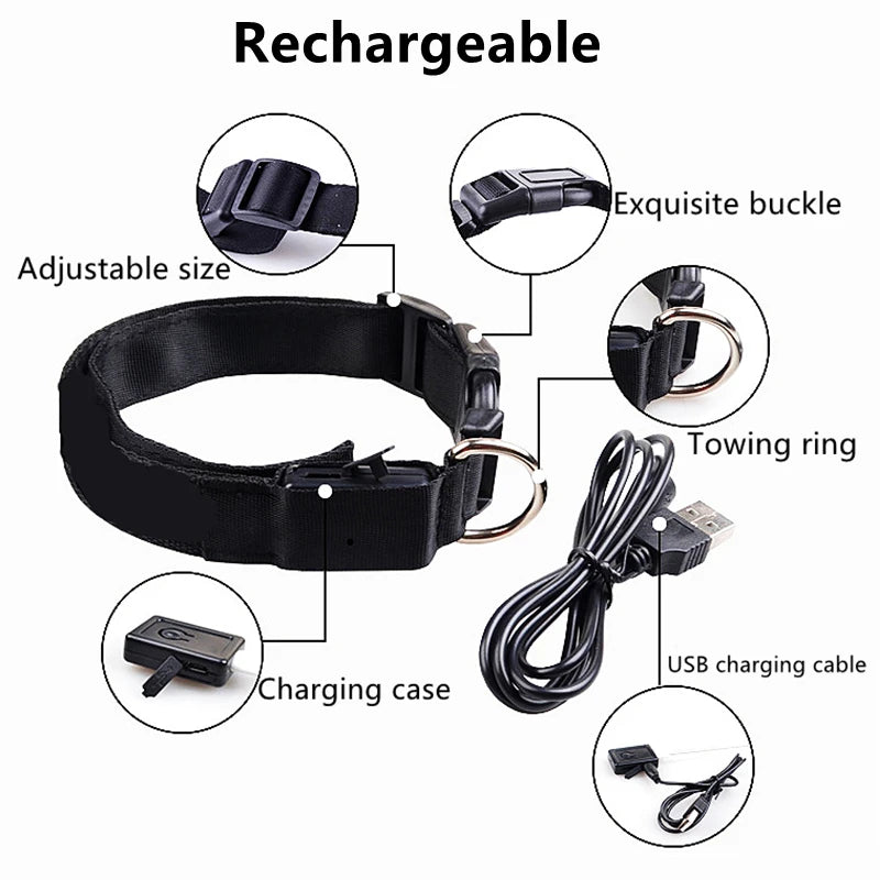 PawFlow LED Dog Collar — USB Rechargeable Waterproof Glow Safety Collar for Night Walks, 3 Light Modes