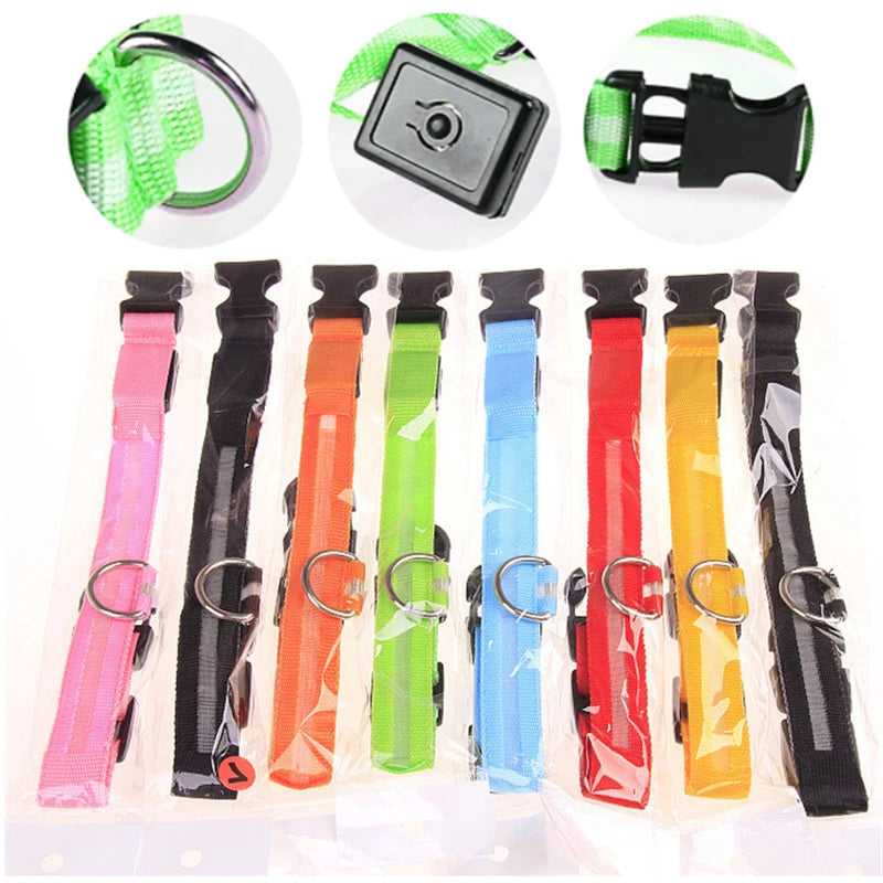 PawFlow LED Dog Collar — USB Rechargeable Waterproof Glow Safety Collar for Night Walks, 3 Light Modes