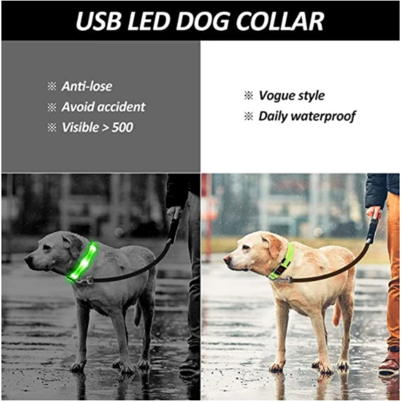 PawFlow LED Dog Collar — USB Rechargeable Waterproof Glow Safety Collar for Night Walks, 3 Light Modes