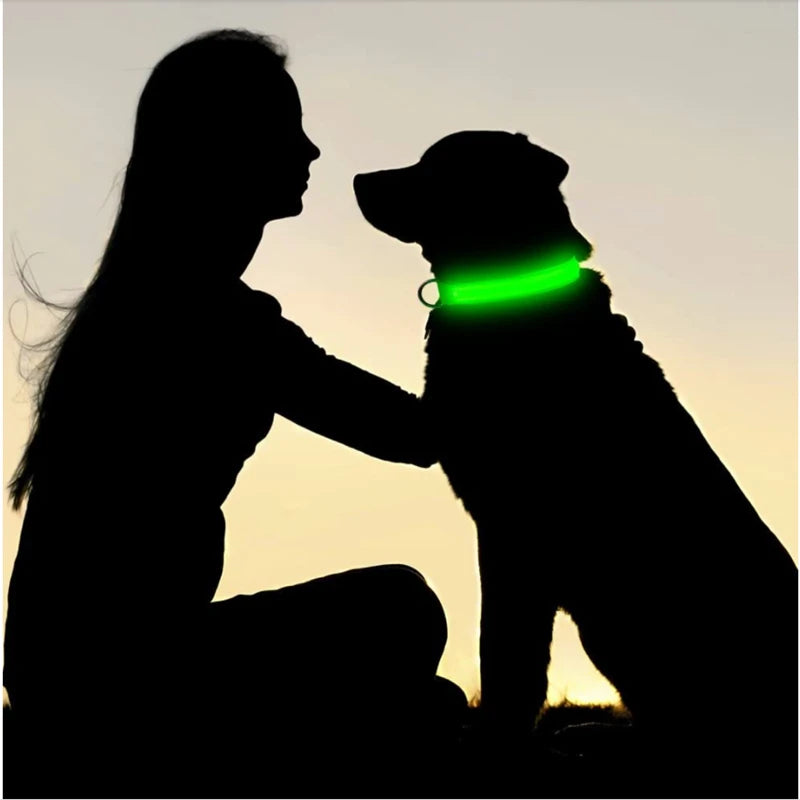 PawFlow LED Dog Collar — USB Rechargeable Waterproof Glow Safety Collar for Night Walks, 3 Light Modes