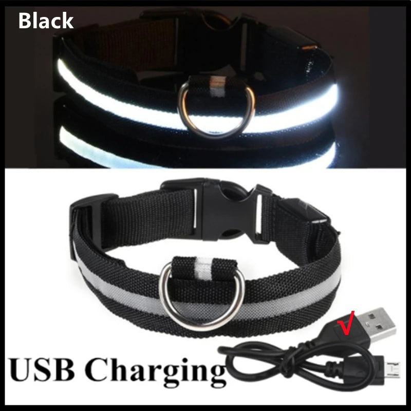 PawFlow LED Dog Collar — USB Rechargeable Waterproof Glow Safety Collar for Night Walks, 3 Light Modes