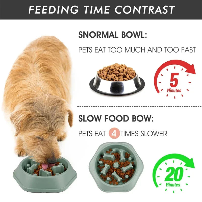 PawFlow Slow Feeder Dog Bowl — Anti-Choking Maze Bowl for Small & Medium Dogs