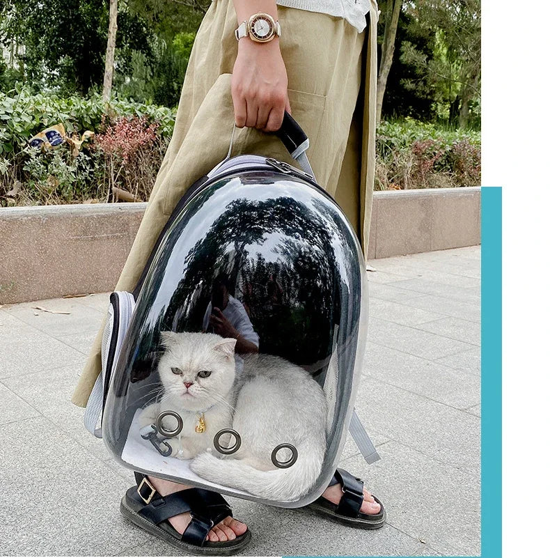 PawFlow Transparent Bubble Cat Carrier Backpack — Breathable Space Capsule Travel Bag for Cats & Small Dogs