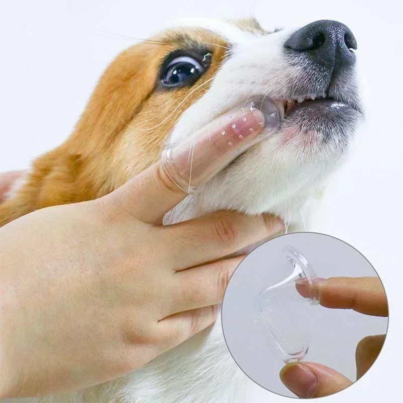 PawFlow Silicone Pet Finger Toothbrush — 5 Pack Ultra-Soft Dental Care Brush for Dogs & Cats
