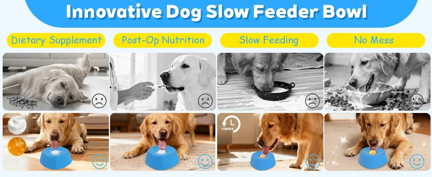 PawFlow No-Spill Dog Licking Bowl — Slow Feed Lick Mat with Entertainment Ball for Dogs