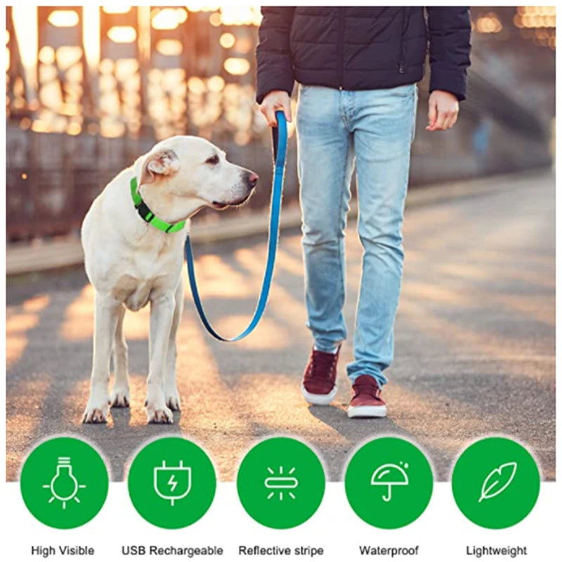 PawFlow LED Dog Collar — USB Rechargeable Waterproof Glow Safety Collar for Night Walks, 3 Light Modes