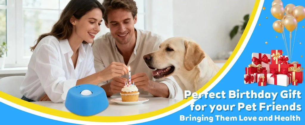 PawFlow No-Spill Dog Licking Bowl — Slow Feed Lick Mat with Entertainment Ball for Dogs