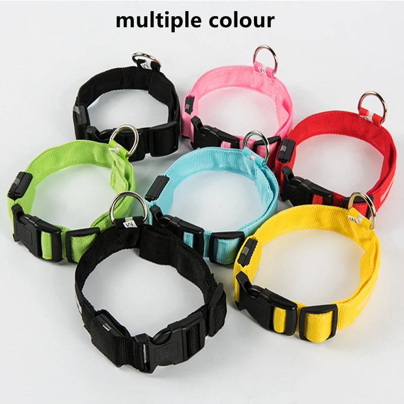 PawFlow LED Dog Collar — USB Rechargeable Waterproof Glow Safety Collar for Night Walks, 3 Light Modes