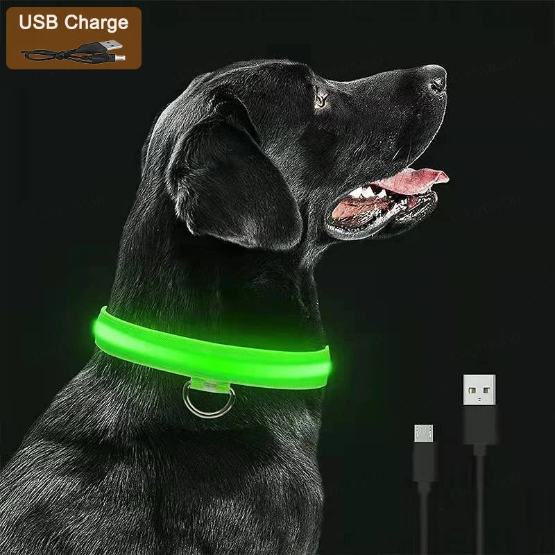 PawFlow LED Dog Collar — USB Rechargeable Waterproof Glow Safety Collar for Night Walks, 3 Light Modes
